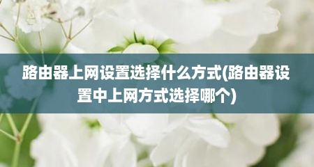 路由器上网设置选择什么方式(路由器设置中上网方式选择哪个)