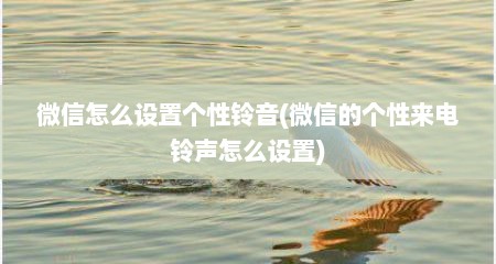 微信怎么设置个性铃音(微信的个性来电铃声怎么设置)