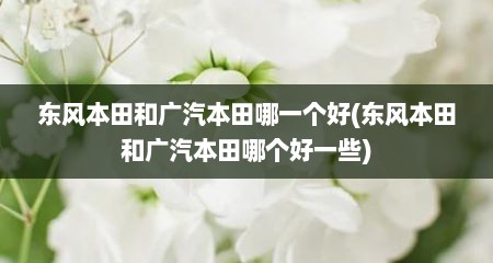 东风本田和广汽本田哪一个好(东风本田和广汽本田哪个好一些)