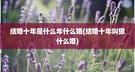 结婚十年是什么年什么婚(结婚十年叫做什么婚)