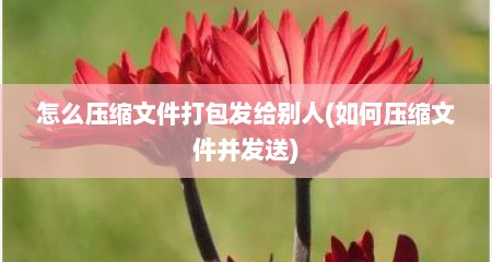 怎么压缩文件打包发给别人(如何压缩文件并发送)