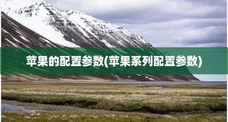 苹果的配置参数(苹果系列配置参数)