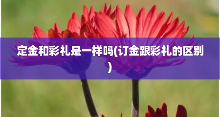 定金和彩礼是一样吗(订金跟彩礼的区别)
