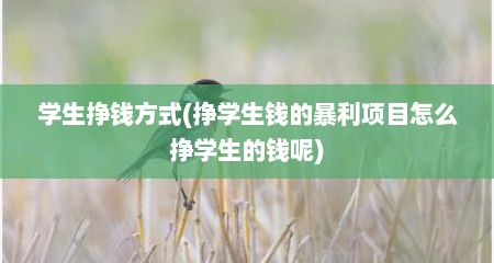 学生挣钱方式(挣学生钱的暴利项目怎么挣学生的钱呢)