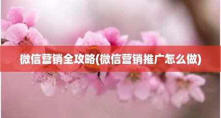 微信营销全攻略(微信营销推广怎么做)