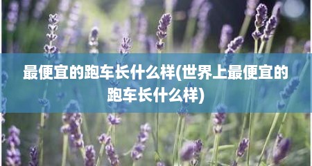 最便宜的跑车长什么样(世界上最便宜的跑车长什么样)