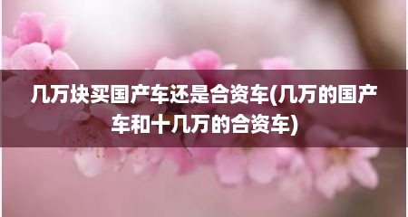 几万块买国产车还是合资车(几万的国产车和十几万的合资车)