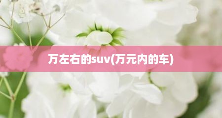 万左右的suv(万元内的车)