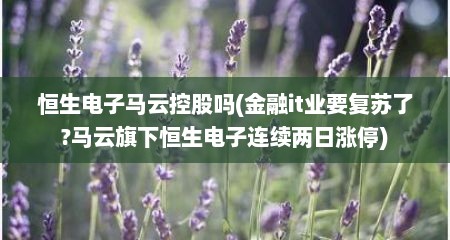 恒生电子马云控股吗(金融it业要复苏了?马云旗下恒生电子连续两日涨停)
