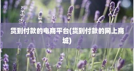 货到付款的电商平台(货到付款的网上商城)