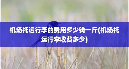 机场托运行李的费用多少钱一斤(机场托运行李收费多少)