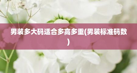 男装多大码适合多高多重(男装标准码数)
