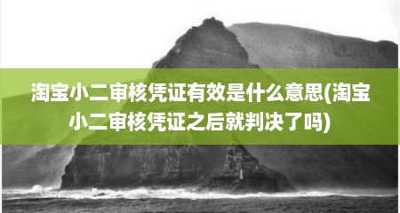 淘宝小二审核凭证有效是什么意思(淘宝小二审核凭证之后就判决了吗)