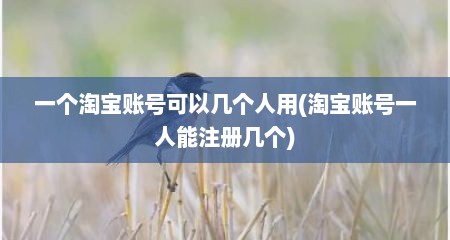 一个淘宝账号可以几个人用(淘宝账号一人能注册几个)