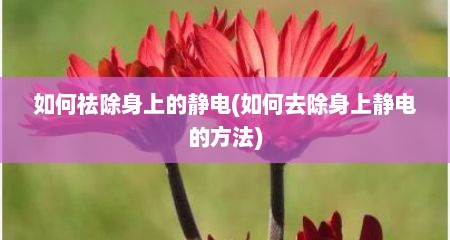 如何祛除身上的静电(如何去除身上静电的方法)
