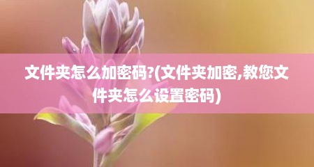 文件夹怎么加密码?(文件夹加密,教您文件夹怎么设置密码)