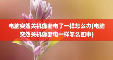 电脑突然关机像断电了一样怎么办(电脑突然关机像断电一样怎么回事)