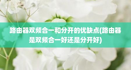 路由器双频合一和分开的优缺点(路由器是双频合一好还是分开好)