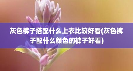 灰色裤子搭配什么上衣比较好看(灰色裤子配什么颜色的裤子好看)