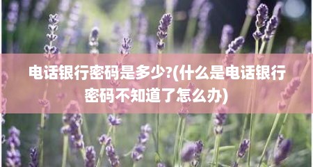 电话银行密码是多少?(什么是电话银行密码不知道了怎么办)