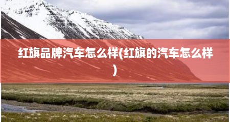 红旗品牌汽车怎么样(红旗的汽车怎么样)