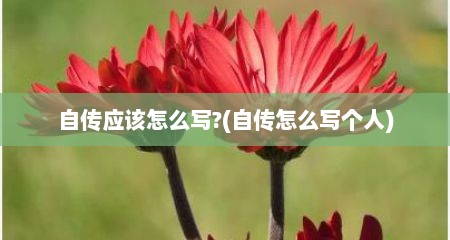 自传应该怎么写?(自传怎么写个人)