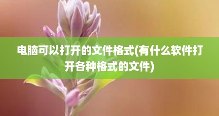 电脑可以打开的文件格式(有什么软件打开各种格式的文件)