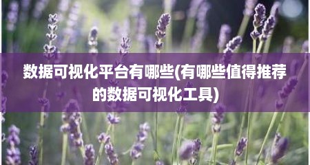 数据可视化平台有哪些(有哪些值得推荐的数据可视化工具)
