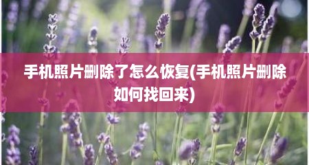 手机照片删除了怎么恢复(手机照片删除如何找回来)