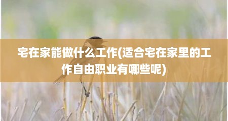 宅在家能做什么工作(适合宅在家里的工作自由职业有哪些呢)