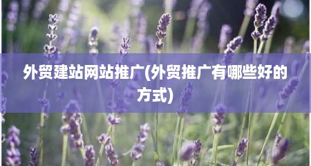 外贸建站网站推广(外贸推广有哪些好的方式)
