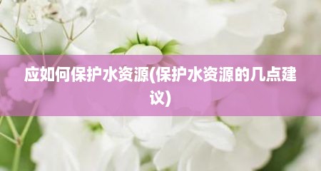 应如何保护水资源(保护水资源的几点建议)