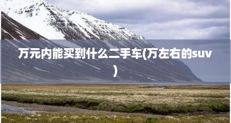 万元内能买到什么二手车(万左右的suv)