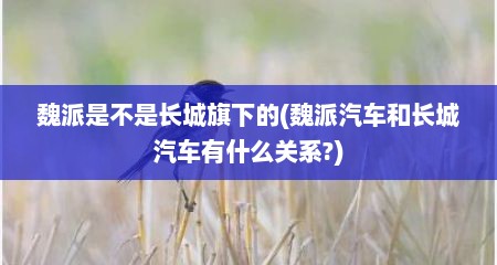 魏派是不是长城旗下的(魏派汽车和长城汽车有什么关系?)