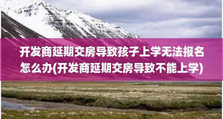 开发商延期交房导致孩子上学无法报名怎么办(开发商延期交房导致不能上学)