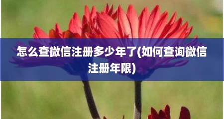 怎么查微信注册多少年了(如何查询微信注册年限)