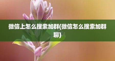 微信上怎么搜索加群(微信怎么搜索加群聊)