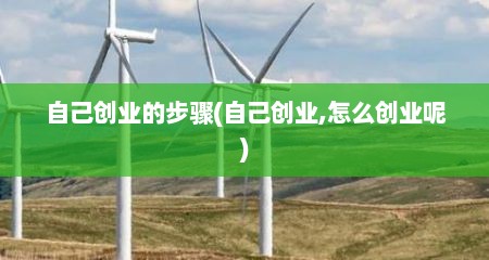 自己创业的步骤(自己创业,怎么创业呢)