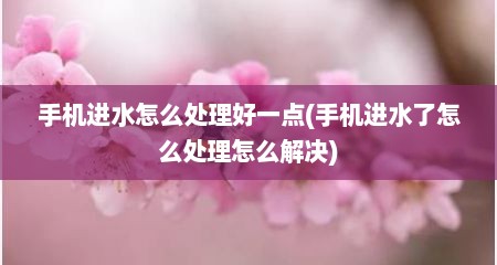 手机进水怎么处理好一点(手机进水了怎么处理怎么解决)