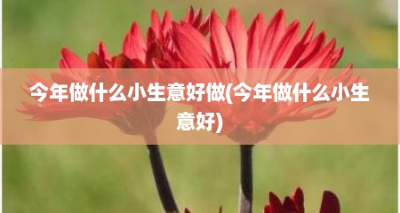 今年做什么小生意好做(今年做什么小生意好)