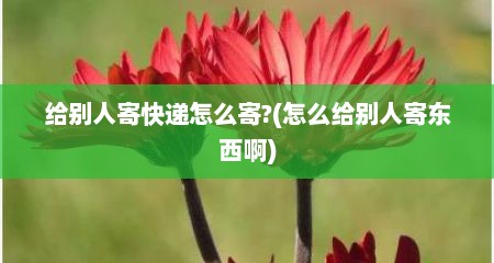 给别人寄快递怎么寄?(怎么给别人寄东西啊)