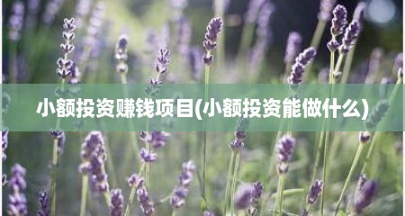 小额投资赚钱项目(小额投资能做什么)