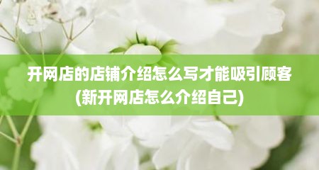 开网店的店铺介绍怎么写才能吸引顾客(新开网店怎么介绍自己)