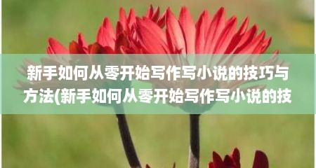 新手如何从零开始写作写小说的技巧与方法(新手如何从零开始写作写小说的技巧和方法)