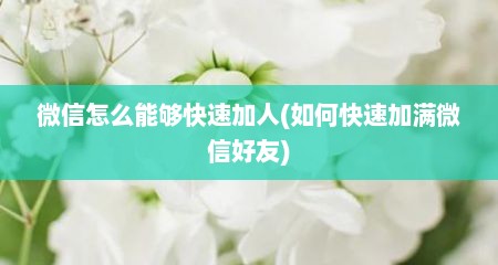 微信怎么能够快速加人(如何快速加满微信好友)