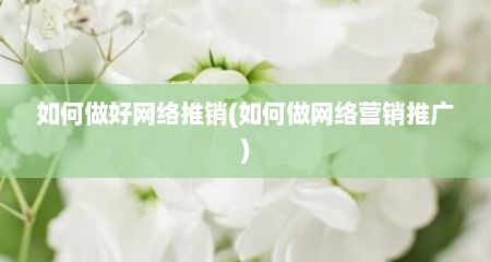 如何做好网络推销(如何做网络营销推广)