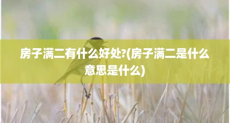 房子满二有什么好处?(房子满二是什么意思是什么)