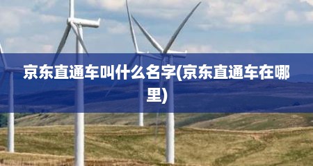 京东直通车叫什么名字(京东直通车在哪里)