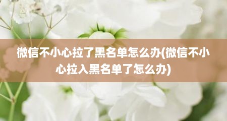 微信不小心拉了黑名单怎么办(微信不小心拉入黑名单了怎么办)