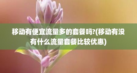 移动有便宜流量多的套餐吗?(移动有没有什么流量套餐比较优惠)